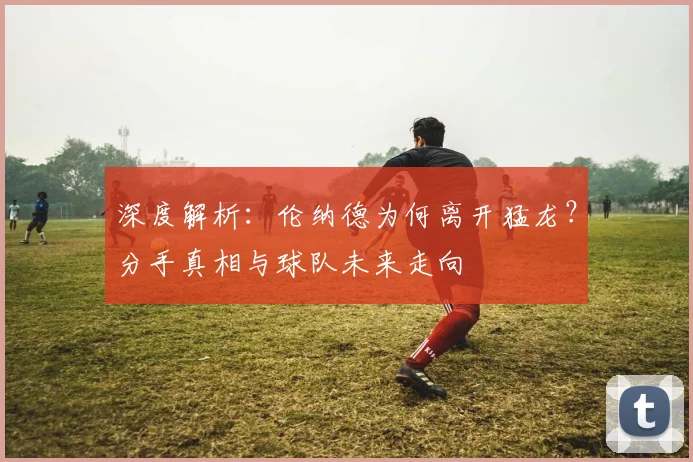 深度解析:伦纳德为何离开猛龙?分手真相与球队未来走向
